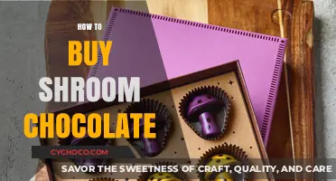 Exploring the World of Shroom Chocolate: A Buyer's Guide