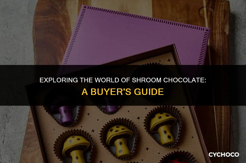 how to buy shroom chocolate