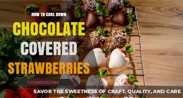 Quick Tips: Cooling Chocolate-Covered Strawberries to Perfection