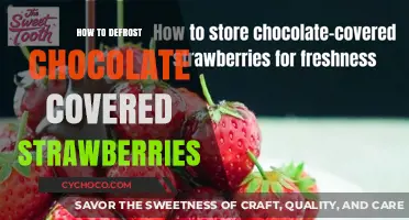 Deliciously Thawed: A Guide to Defrosting Chocolate-Covered Strawberries