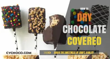 Mastering the Art of Drying Chocolate-Covered Treats