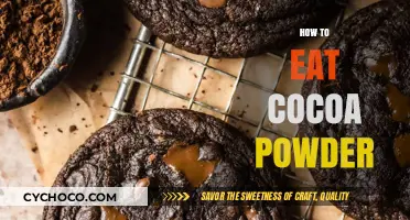 Delicious Ways to Enjoy Cocoa Powder in Your Daily Diet