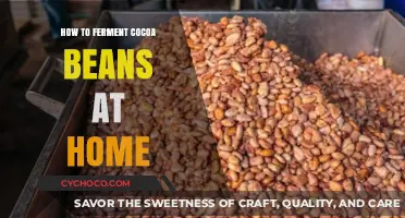 Mastering Home Fermentation: A Guide to Perfectly Fermented Cocoa Beans