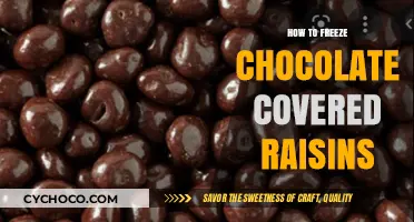 Deliciously Easy: How to Freeze Chocolate-Covered Raisins