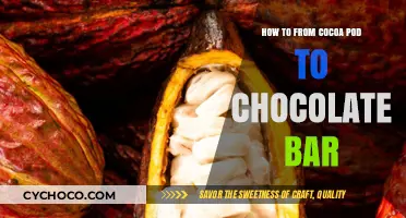 From Cocoa Pod to Chocolate Bar: A Delicious Journey