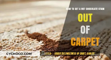 Quick Fix: Removing Hot Chocolate Stains from Your Carpet