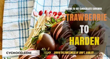 Mastering the Art of Perfectly Hardened Chocolate-Covered Strawberries