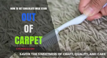Effective Tips to Remove Chocolate Milk Stains from Your Carpet