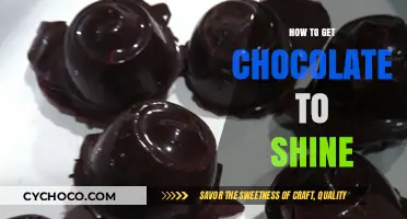 Mastering the Art of Shiny Chocolate: Tips for a Perfect Gloss