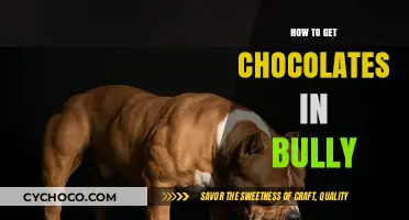 Sweet Secrets: Unlocking Chocolate Rewards in Bully