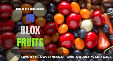 Unlocking Cocoa Beans in Blox Fruits: A Comprehensive Guide