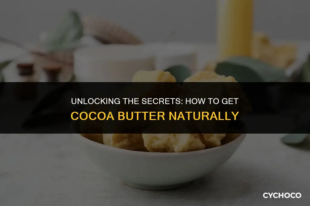 how to get cocoa butter