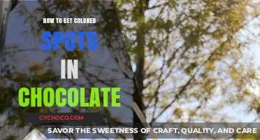 Mastering Chocolate Art: Techniques for Creating Vibrant Colored Spots