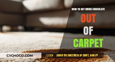 Easy Methods to Remove Dried Chocolate from Carpet