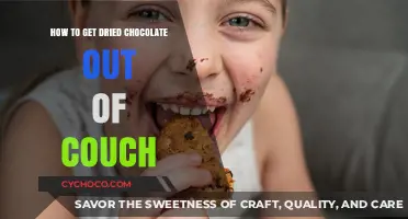 Easy Tips to Remove Dried Chocolate from Your Couch
