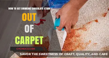 Easy Methods to Remove Drinking Chocolate Stains from Carpet