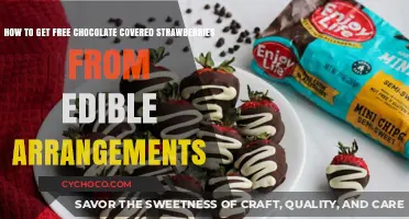 Sweet Treats on a Budget: Free Chocolate-Covered Strawberries Await!