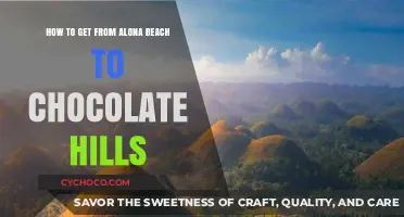 Exploring Bohol: A Scenic Journey from Alona Beach to Chocolate Hills