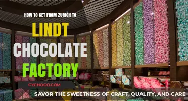 A Sweet Journey: Zurich to Lindt Chocolate Factory Travel Guide