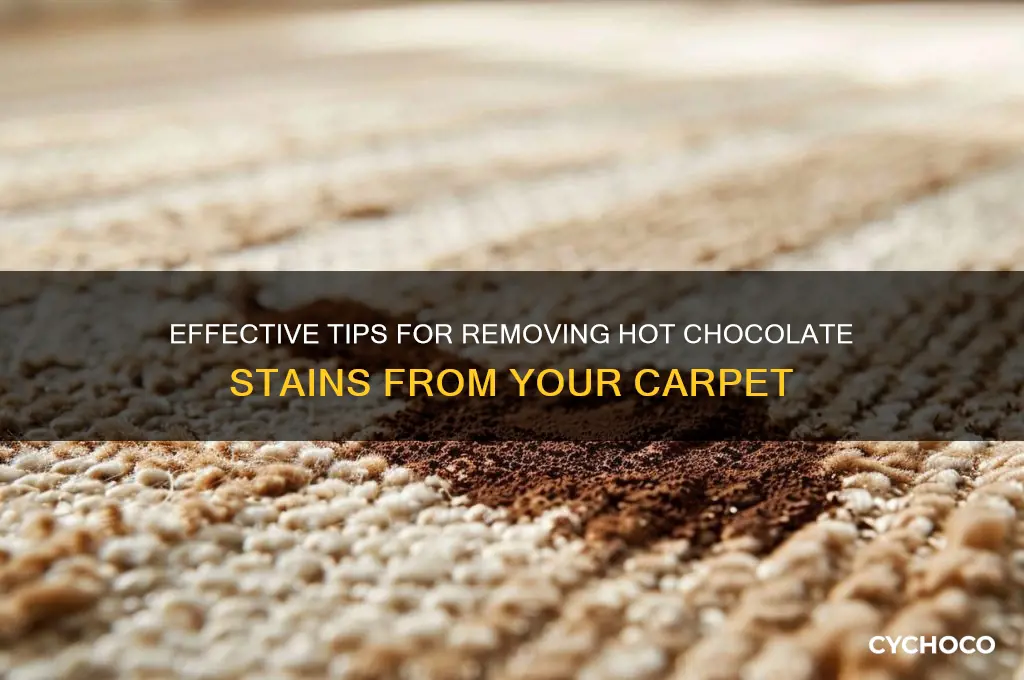 how to get hot chocolate out of a carpet