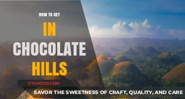 Unveiling the Sweet Journey to Bohol's Chocolate Hills