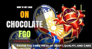 Mastering the Art of Chocolate FGO: A Guide to Getting Lock On