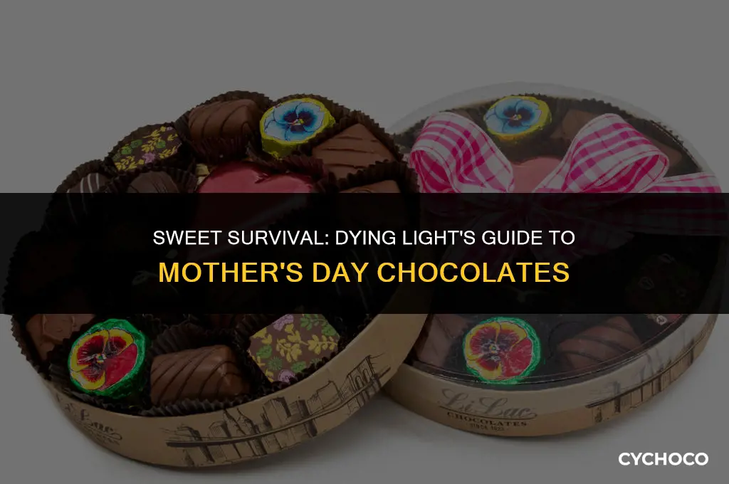 how to get mothers day chocolates dying light