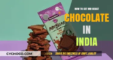 Savor the Sweetness: How to Get Mr. Beast Chocolate in India