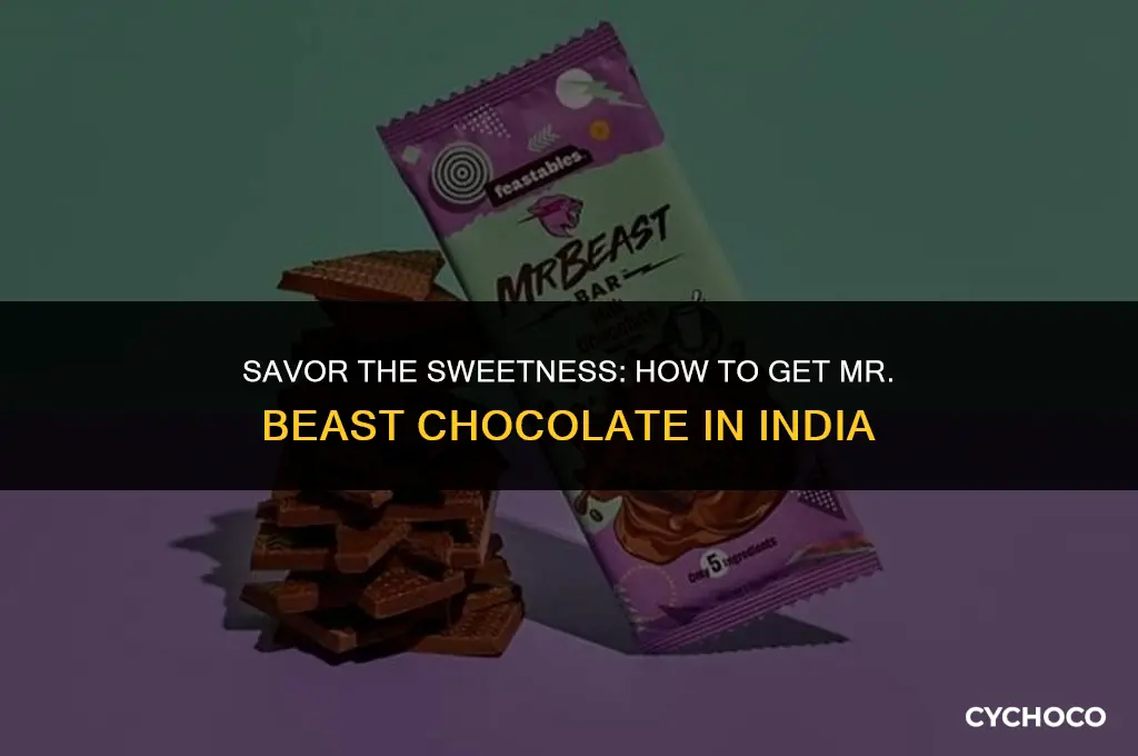 how to get mr beast chocolate in india