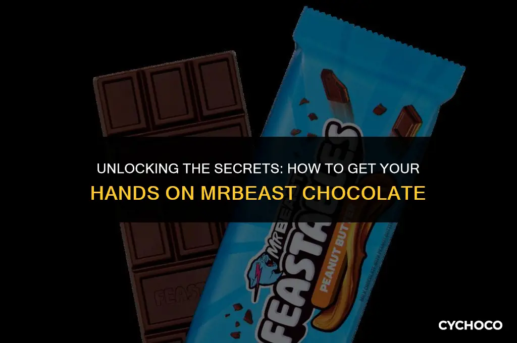 how to get mr beast chocolate