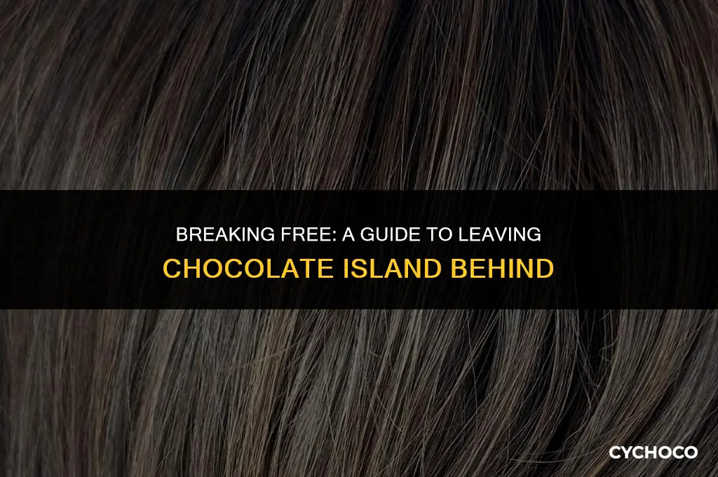how to get off chocolate island