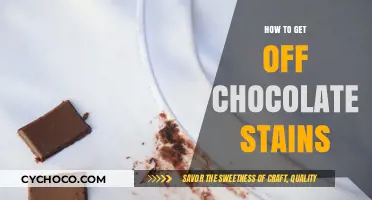 Conquering Chocolate Stains: A Comprehensive Guide to Easy Removal