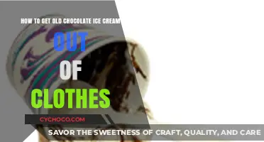 Conquering Chocolate Stains: A Guide to Removing Ice Cream from Clothes