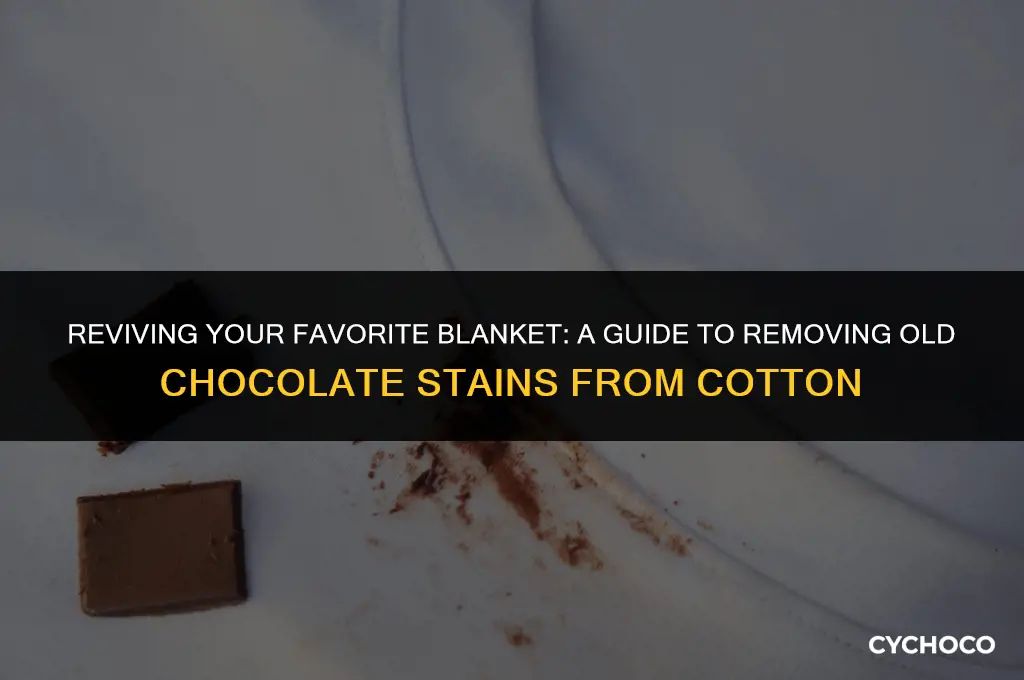 how to get old chocolate stains out of cotton blanket