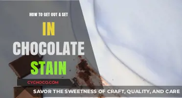 Effortless Chocolate Stain Removal: A Comprehensive Guide