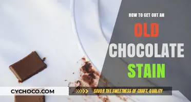 Chocolate Stain Removal: A Comprehensive Guide for Stubborn Spots
