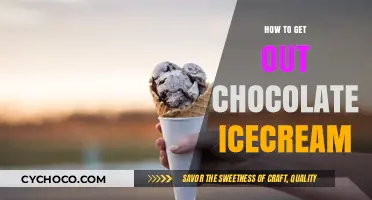 Decoding the Art of Removing Chocolate Ice Cream Stains