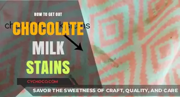 Effective Tips to Remove Chocolate Milk Stains from Clothes and Fabric