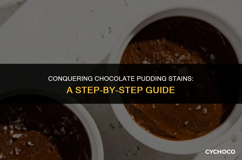 how to get out chocolate pudding stain