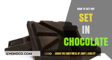 Breaking Free from the Chocolate Rut: A Guide to New Beginnings