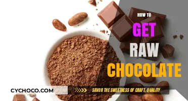 Unlocking the Secrets of Sourcing Raw Chocolate: A Beginner's Guide