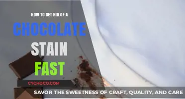Quick Fixes for Chocolate Stains: A Comprehensive Guide