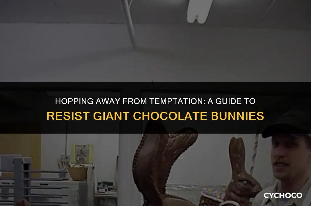 how to get rid of a gaint chocolate bunny