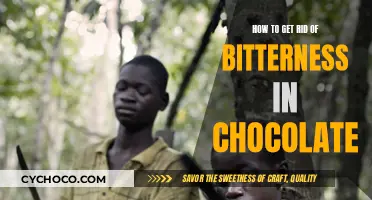 Sweet Solutions: Removing Bitterness from Your Chocolate Creations