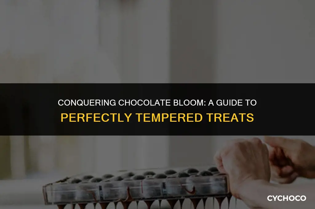 how to get rid of bloom on chocolate