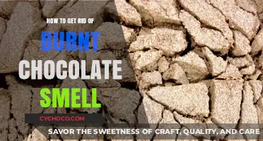 Eliminating Burnt Chocolate Odor: A Comprehensive Guide