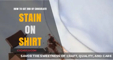Effortless Stain Removal: Goodbye Chocolate Marks on Clothing!