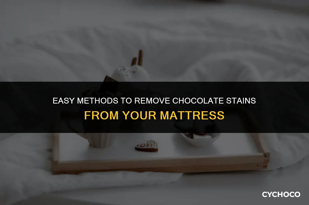 how to get rid of chocolate stains on a mattress