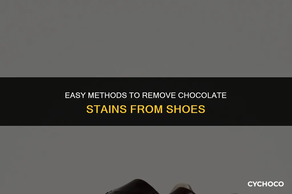 how to get rid of chocolate stains on shoes