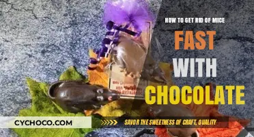 Sweet Solution: Chocolate's Surprising Role in Rapid Rodent Removal